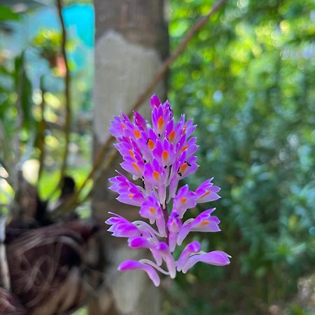 Krabi Klong Muang Bay Resort Ngoại thất bức ảnh